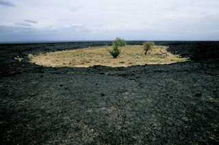 Illustration for article titled Ocean Shows Up In The Middle of Africa